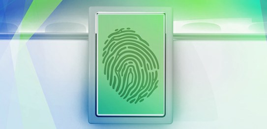 Biometria ultrapassa 50% do eleitorado brasileiro