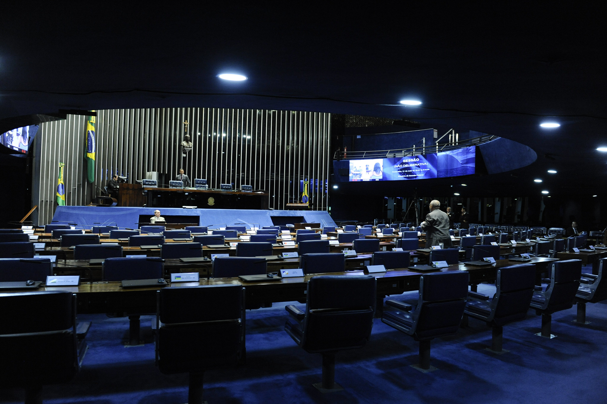 Senado articula volta das coligações nas eleições proporcionais